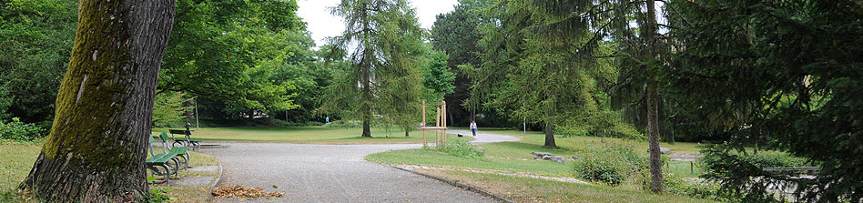 Name eintragen
